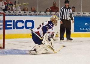 Igor Bobkov, Anaheim Ducks, Goaltending