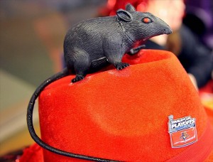 Florida Panthers Rat on Hat