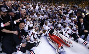 The Chicago Blackhawks captured their second Stanley Cup in four years. (Greg M. Cooper-USA TODAY Sports)