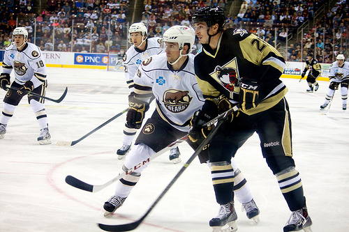 The Hershey Bears host the Wilkes-Barre/Scranton Penguins in a November game in 2013 (Annie Erling Gofus/The Hockey Writers)