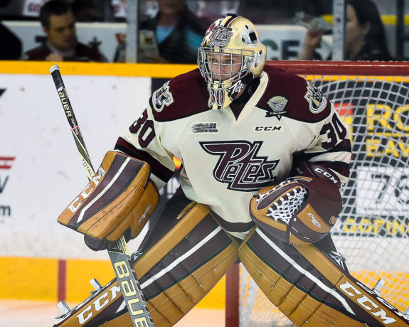 Dylan Wells, Peterborough Petes, OHL