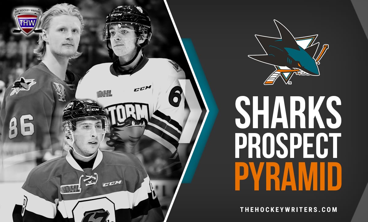 San Jose Sharks' Prospect Pyramid - San Jose Sharks' Prospect Pyramid