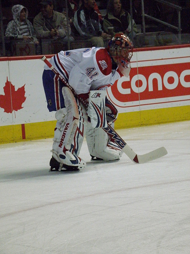 Jaroslav Halak (Photo by svictoria29@Flickr)