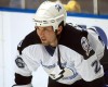 Martin St. Louis, the Little Big Man