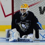 Marc-Andre Fleury (Tim Turk/THW)