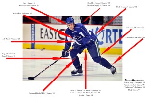 Sami Salo Injury Digest (via NucksMisconduct.com)