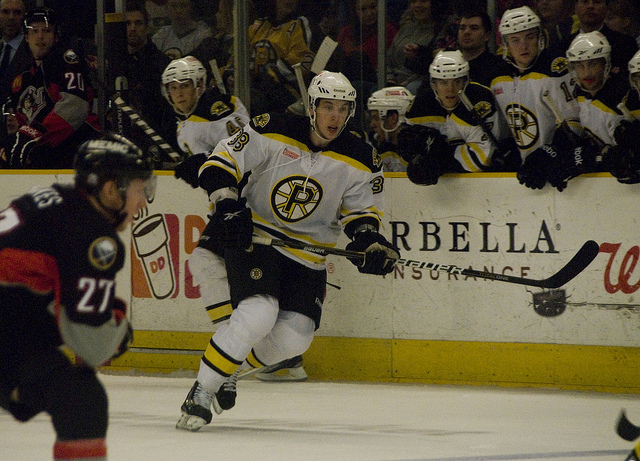 Providence Bruins - Wikipedia