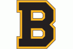 Boston Bruins