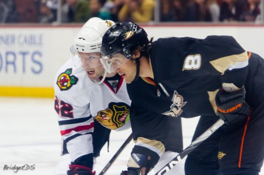 Teemu Selanne confirmed this is his last NHL season.(BridgetDS/Flickr)