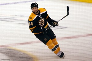 Seidenberg Bruins