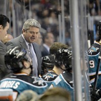 Todd McLellan Sharks