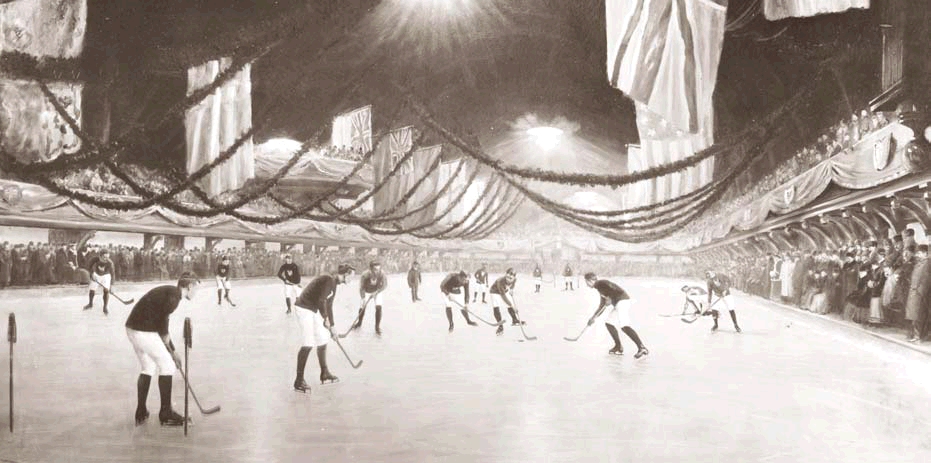 ice hockey and ice skating game