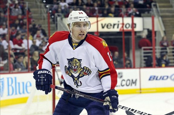 Tomas Fleischmann