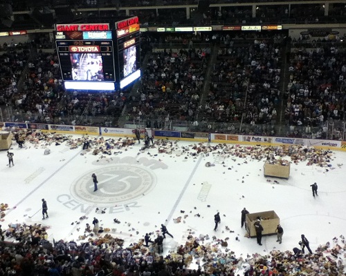 Teddy Bear Toss Night