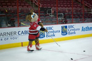 Stormy The Pig, Mascot for the Carolina Hurricanes. (Flickr/Captsinslack)