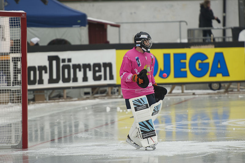 Jenkkitoimittaja Innostui J pallosta Www bandyliiga fi