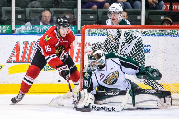 Lotz Silvertips