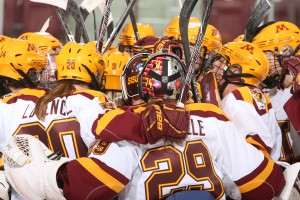 Minnesota Golden Gophers (Eric Miller/Gopher Athletics)