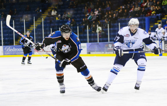 Can the Ice make a run? (photo whl.ca)