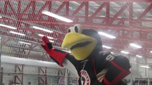 hockey mascot interview