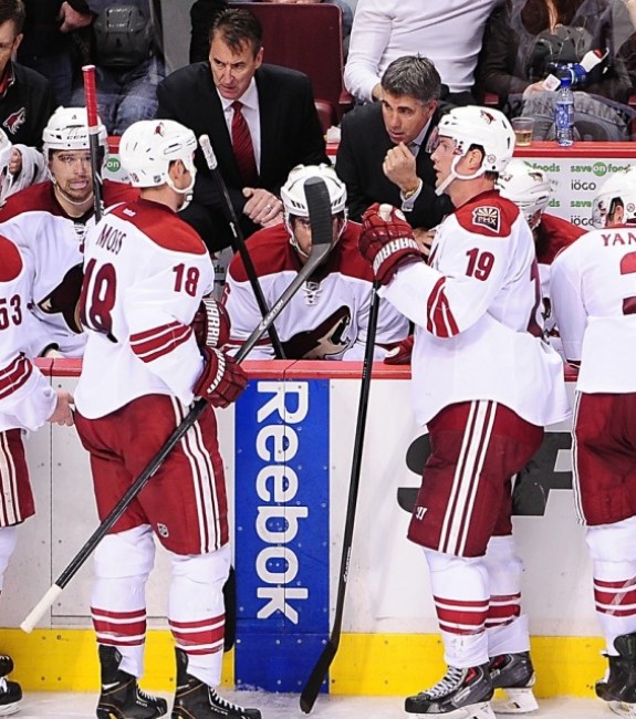 Dave Tippett (Anne-Marie Sorvin-USA TODAY Sports)