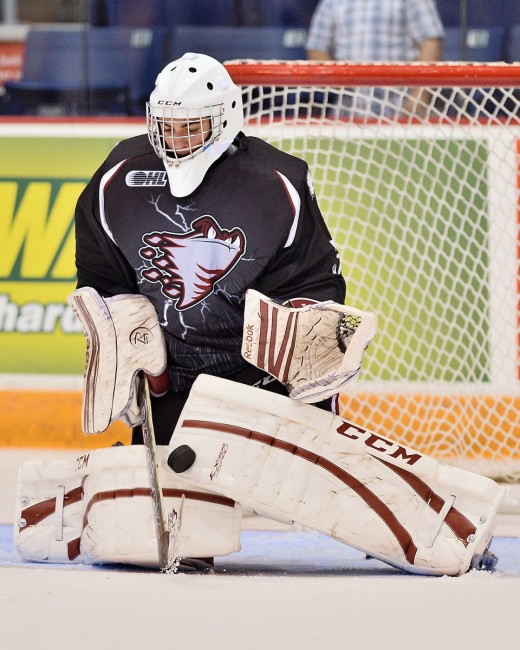 Matt Mancina Guelph Storm