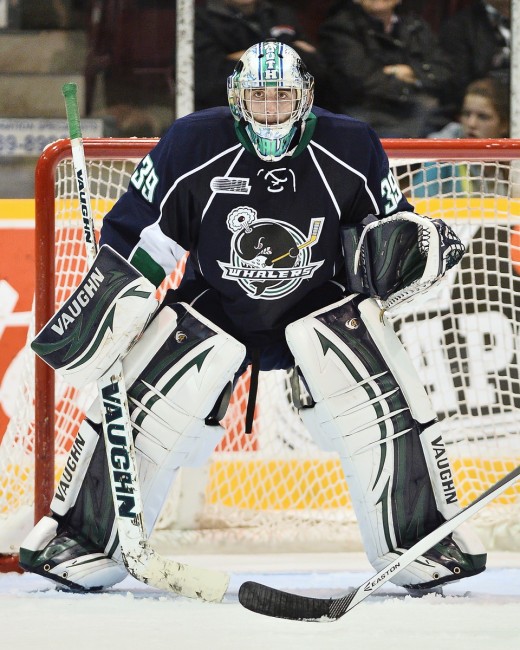 Nedeljkovic Plymouth Whalers