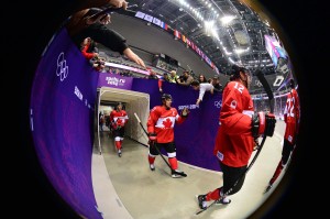 The fans in Sochi seem to be enjoying the Games (Scott Rovak-USA TODAY Sports)