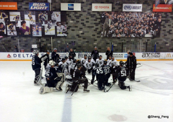 LA Kings, 2014 Development Camp 1