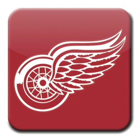 Detroit Red Wings, 2020 NHL Mock Draft