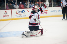 Albany Devils Season Schedule Synopsis Albany Devils Season Schedule Synopsis