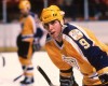 Los Angeles Kings: The Foundation of Royalty