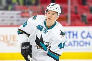 San Jose Sharks center Tomas Hertl  (Photo Credit: Andy Martin Jr)