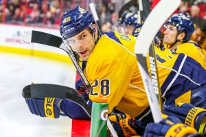 Nashville Predators center Paul Gaustad   (Photo Credit: Andy Martin Jr) 