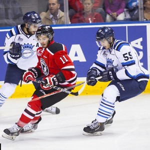 No. 55 Nicolas Roy (Jonathan Roy/Quebec Remparts)