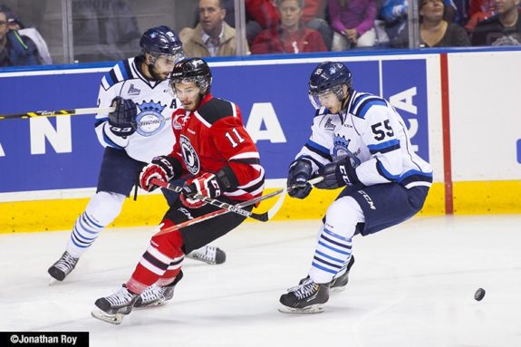 No. 55 Nicolas Roy (Jonathan Roy/Quebec Remparts)