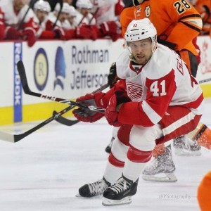 Luke Glendening of the Detroit Red Wings.