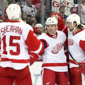 Former Detroit Red Wings defenseman Marek Zidlicky.