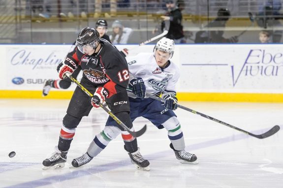 Jansen Harkins is everything that the Bruins are looking for in a player. (Brian Liesse/WHL)