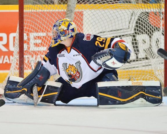 Mackenzie Blackwood Barrie Colts