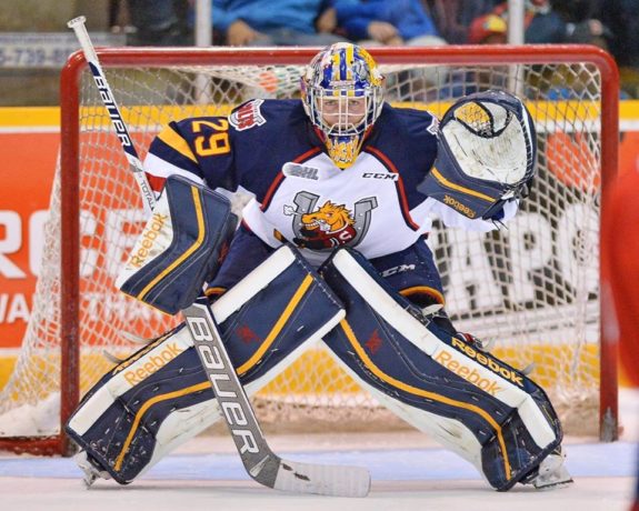 Mackenzie Blackwood Barrie Colts