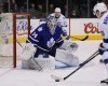 Maple Leafs’ Recent Dealings With the Sharks