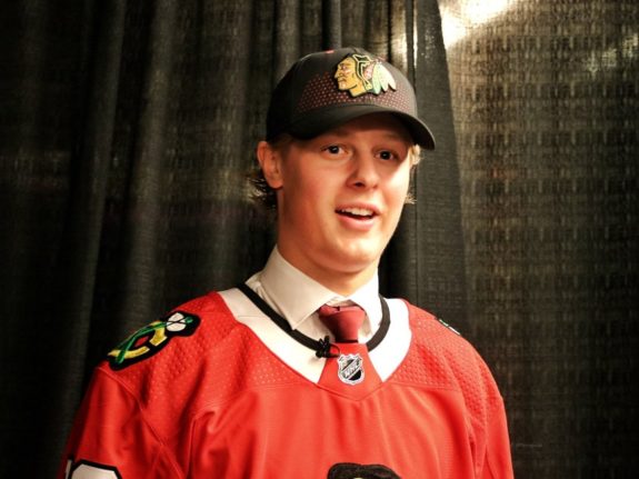 Adam Boqvist Blackhawks