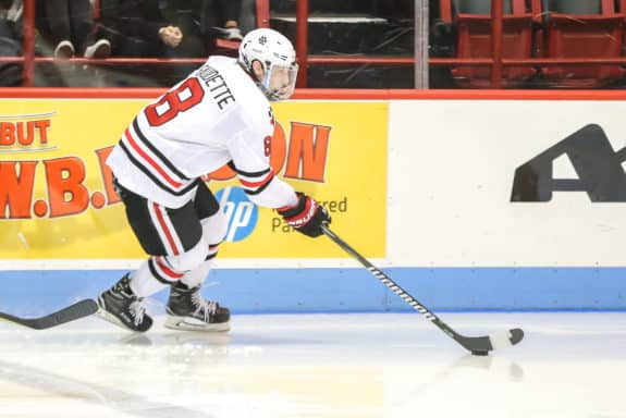 Adam Gaudette Northeastern University Huskies