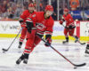 Hurricanes Have Chased Some Goaltenders...No, Really