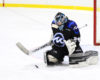 Emptying the NWHL Notebook: the Lost Leveille & Selander Tapes