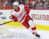 Red Wings Beat Predators - Snap 3-Game Skid