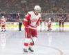 Red Wings Only Have a Few Trade Chips