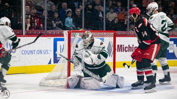 Andrew Hammond, Iowa Wild