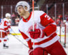 The Grind Line: Red Wings Player Most Likely to Break Out This Season